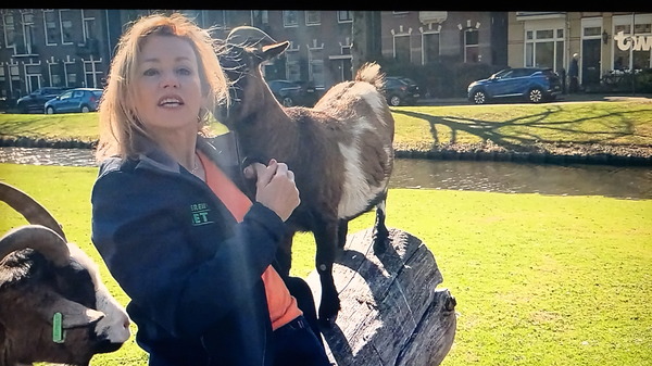 250401 Ingrid van der Spoel